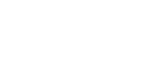 Skinbri